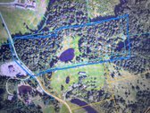 3,86 ha sklypas su statybos leidimu greta - nuotraukos Nr. 3