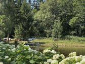 3,86 ha sklypas su statybos leidimu greta - nuotraukos Nr. 13