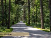 Norai Vanagupėje – prabangus apartamentų - nuotraukos Nr. 27
