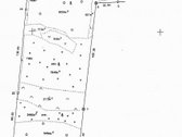 Parduodami trys, besiribojantys (8,91ha, 8,84 - nuotraukos Nr. 3