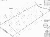 Parduodami trys, besiribojantys (8,91ha, 8,84 - nuotraukos Nr. 4
