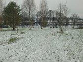 Parduodamas 79 arų žemės sklypas ant Žieždro - nuotraukos Nr. 19