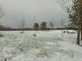 Parduodamas 79 arų žemės sklypas ant Žieždro - nuotraukos Nr. 20