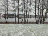 Parduodamas 79 arų žemės sklypas ant Žieždro - nuotraukos Nr. 18