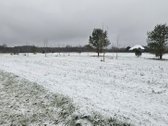 Parduodamas 79 arų žemės sklypas ant Žieždro - nuotraukos Nr. 21