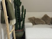 Galimybė turėti nuosavą dalelę Nidos - - nuotraukos Nr. 7