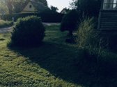 Sodyba Gylių kaime (antras namas gyvenvietėje - nuotraukos Nr. 12