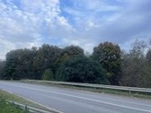 Objektas Randasi Platiniškių km , Zujunų - nuotraukos Nr. 3
