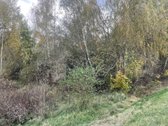 Objektas Randasi Platiniškių km , Zujunų - nuotraukos Nr. 4