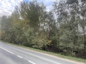 Objektas Randasi Platiniškių km , Zujunų - nuotraukos Nr. 6