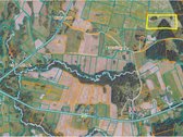 Paberžės seniūnijoje, Nugariškių kaime - nuotraukos Nr. 6