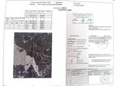 Paberžės seniūnijoje, Nugariškių kaime - nuotraukos Nr. 7