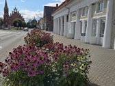 Rokiškio miesto širdyje - centrinėje - nuotraukos Nr. 4