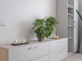 Nuomojamas modernus, šviesus, skandinaviško - nuotraukos Nr. 11