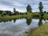 Parduodama autentiška ,100 liepų sodyba - nuotraukos Nr. 9