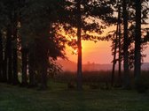 Parduodama autentiška ,100 liepų sodyba - nuotraukos Nr. 29