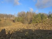 Parduodami trys žemės ūkio paskirties sklypai - nuotraukos Nr. 8