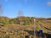 Parduodami trys žemės ūkio paskirties sklypai - nuotraukos Nr. 15