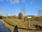 Parduodami trys žemės ūkio paskirties sklypai - nuotraukos Nr. 16
