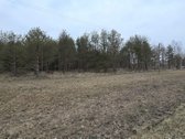 Parduodamas Miškas, Rukuižių km., Žagarės sen - nuotraukos Nr. 2