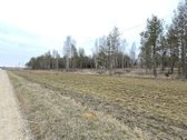Parduodamas Miškas, Rukuižių km., Žagarės sen - nuotraukos Nr. 3