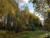 Parduodame jaukų, didelį sklypą.