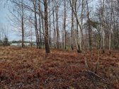 Parduodame jaukų, didelį sklypą. - nuotraukos Nr. 10