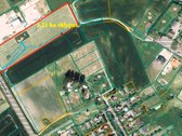 Juragiuose, visai šalia A5 kelio Kaunas - - nuotraukos Nr. 6