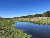 Parduodamas namų valdos žemės sklypas Trakų - nuotraukos Nr. 2