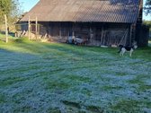Parduodama sodyba miškų apsuptyje su 16,7397 - nuotraukos Nr. 12
