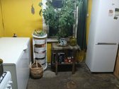 Parduodama sodyba miškų apsuptyje su 16,7397 - nuotraukos Nr. 25