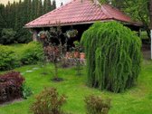 # Parduodamas Daugiafunkcis Kompleksas Su - nuotraukos Nr. 7