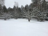 Parduodamas zemes sklypas ypatingoje vietoje. - nuotraukos Nr. 36