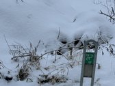 Šalia pušyno parduodamas 6,69 a. žemės - nuotraukos Nr. 3