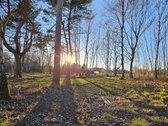 Sklypas Nr. 55d - 777 m2 - 24.000 Eur;