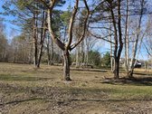 Sklypas Nr. 55d - 777 m2 - 24.000 Eur; - nuotraukos Nr. 8