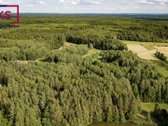 Parduodamas 1,1183 Ha, Žemės Ūkio Paskirties - nuotraukos Nr. 9