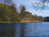 Parduodamas Ežero Pusiasalyje Esantis 12 Ha - nuotraukos Nr. 3
