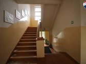 ? Investicinė Galimybė Pakruojo Rajone! - nuotraukos Nr. 17