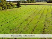 Varėnos r. sav., Pagirių k. - nuotraukos Nr. 18