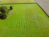 Varėnos r. sav., Pagirių k. - nuotraukos Nr. 19