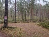 Parduodamas 1.3ha miško ūkio paskirties - nuotraukos Nr. 5