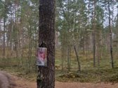 Parduodamas 1.3ha miško ūkio paskirties - nuotraukos Nr. 6