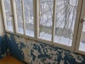 Общаюсь только на литовском или английском - nuotraukos Nr. 7