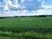 Sauginiuose, Tilto G., Netoliese Nuo Šiaulių - nuotraukos Nr. 8