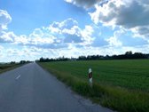 Sauginiuose, Tilto G., Netoliese Nuo Šiaulių - nuotraukos Nr. 9