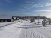 Pilialaukio šilas – tai miško kaimynystėje - nuotraukos Nr. 25