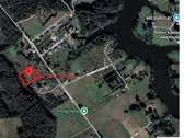 Unikalioje Vietoje - Miško Apsuptyje – Šalia