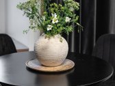 Parduodamas Jaukus Ir Stilingas 2 Kambarių - nuotraukos Nr. 19