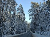 1.66ha žemės ūkio paskirties sklypas,galima - nuotraukos Nr. 4